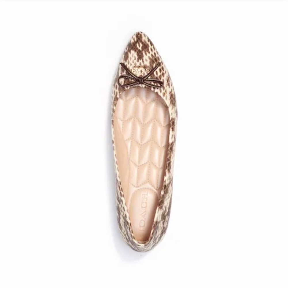 Coach Annabel Snake Print Pointed Toe Ballet Flats Sz 6.5 New! - Picture 9 of 13
